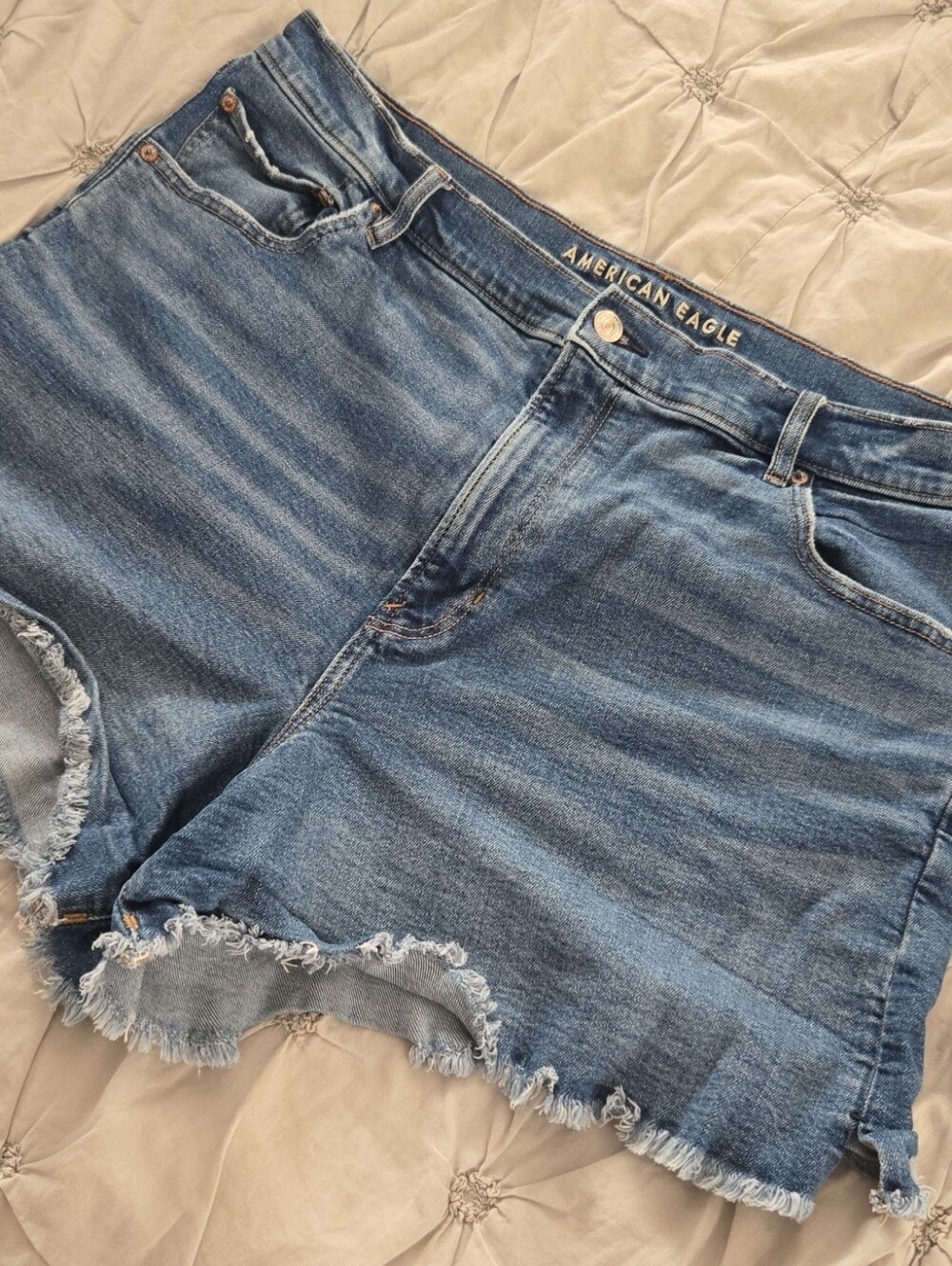 American Eagle Outfitters Light Blue Frayed Hem Denim Shorts
